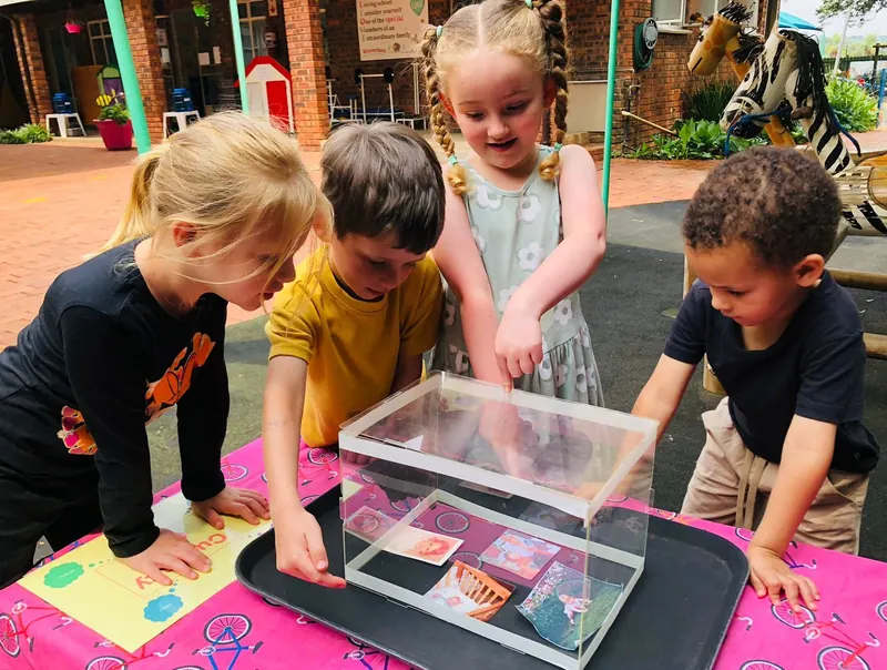Children gathered around a clear tank, looking closely at what is inside